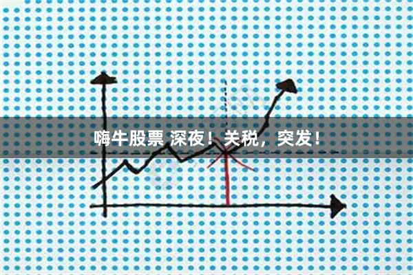 嗨牛股票 深夜！关税，突发！