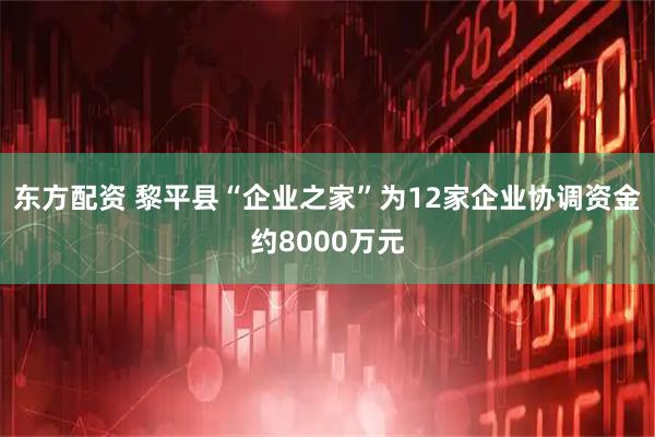 东方配资 黎平县“企业之家”为12家企业协调资金约8000万元