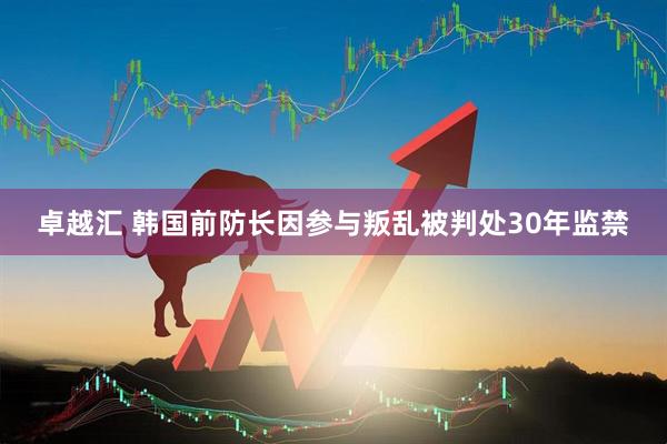 卓越汇 韩国前防长因参与叛乱被判处30年监禁